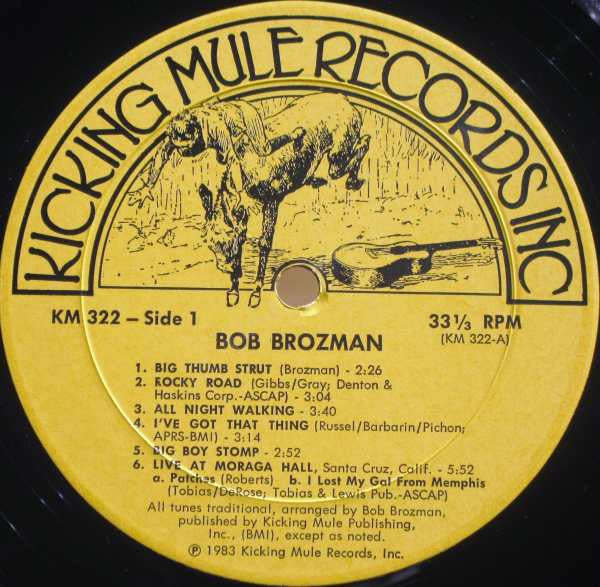 Bob Brozman – Snapping The Strings – Redrum Records