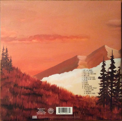 Weezer – Everything Will Be Alright In The End (180 Gram Vinyl)