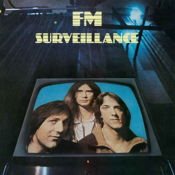 FM - Surveillance