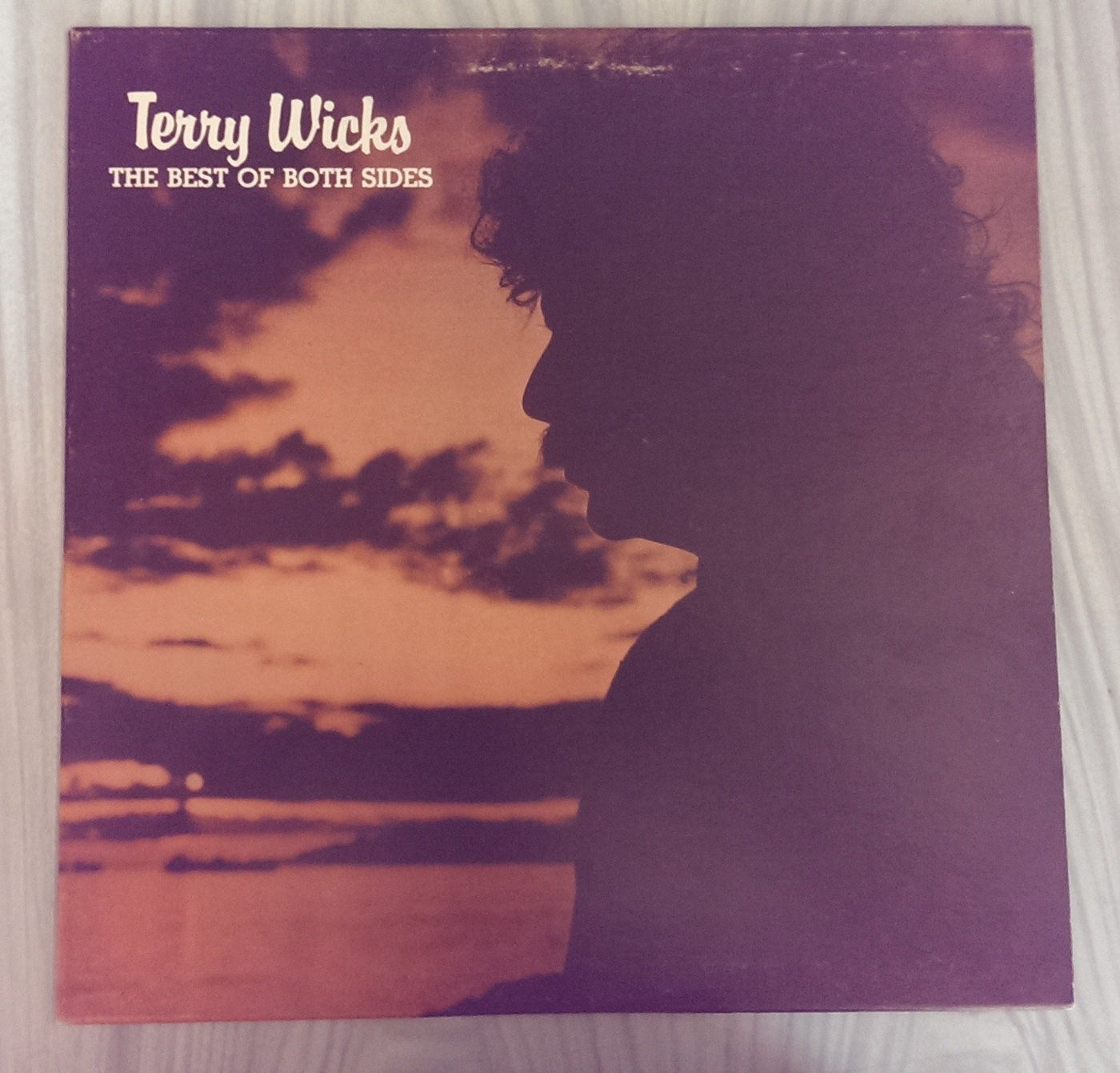 Terry Wicks - The Best Of Both Sides