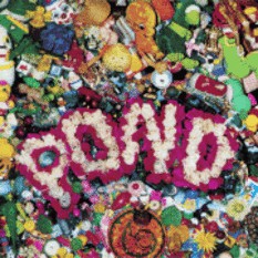 Pond – Pond (CD ALBUM)