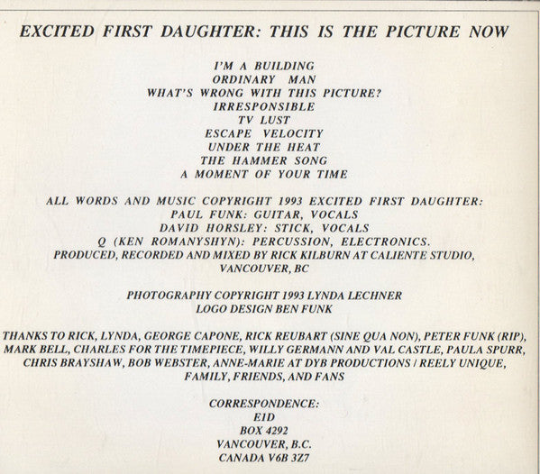 Excited First Daughter – This Is The Picture Now (CD ALBUM)