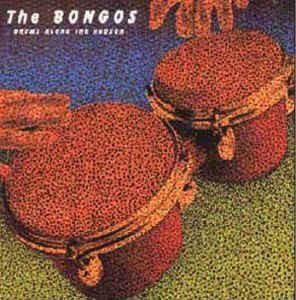 The Bongos ‎– Drums Along The Hudson